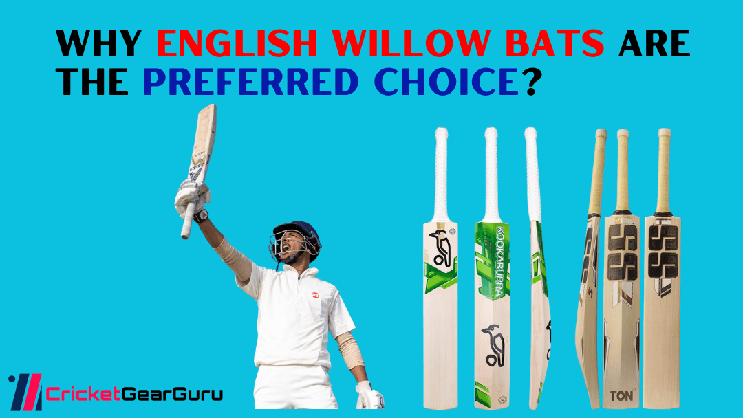 Everything You Need to Know About English Willow Cricket Bats