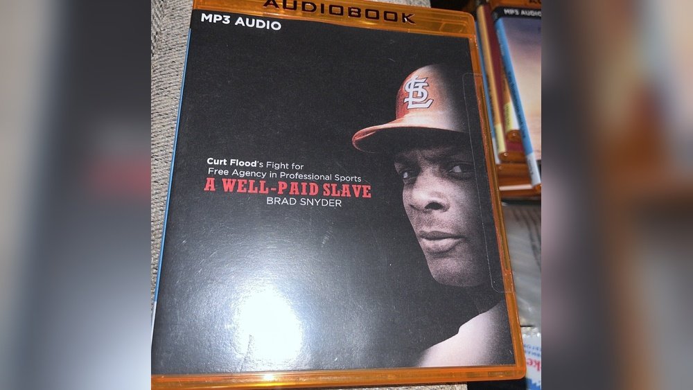 free-vs-paid-cricket-audiobooks-are-the-free-options-worth-your-time.jpg